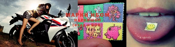 прущие грибы Фёдоровский