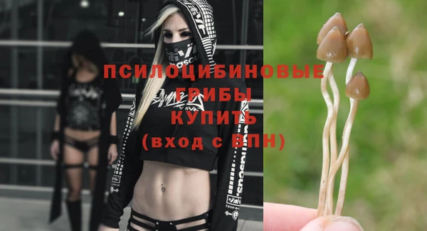 соль курить ск Кукмор