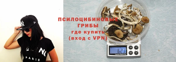 ALPHA PVP Куйбышев