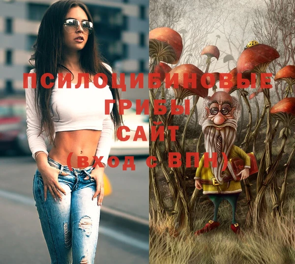 ALPHA PVP Куйбышев