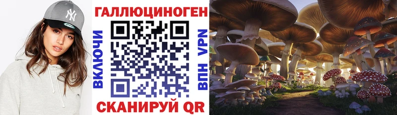 hydra зеркало  Шахты  Галлюциногенные грибы MAGIC MUSHROOMS 