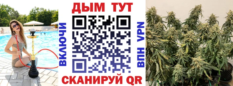 гидра ссылка  Шахты  Каннабис Bruce Banner  где купить наркоту 